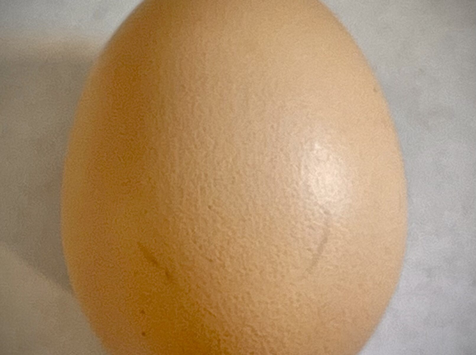 Organic free range eggs per dozen