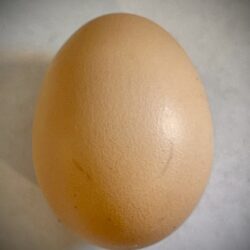 Organic free range eggs per dozen