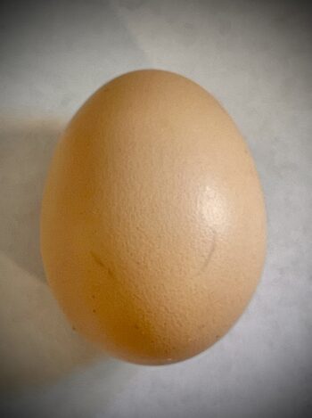 Organic free range eggs per dozen
